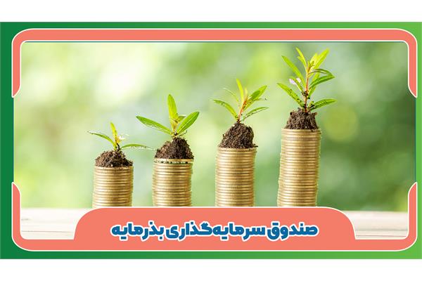 صندوق باور رشد و امید، حامی کسب و کارهای نوپا وشرکت های فناور و نوآور