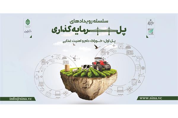 رویداد پل سرمایه گذاری با ارائه پنج طرح دانش بنیان منتخب در حوزه خوراک دام و امنیت غذایی برگزار میشود.