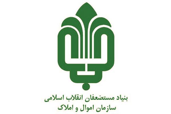 تقدیر معاون برنامه ریزی و امور مجامع بنیاد مستضعفان از"گزارش مطلوب حسابرسی سازمان اموال و املاک"